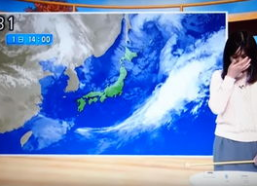 nhk新闻女主播,传递新闻的力量