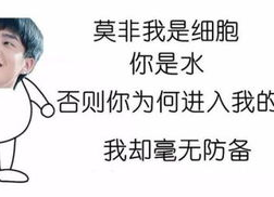 搞笑爱情表白,一场搞笑的爱情表白大作战