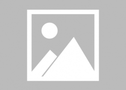 娱乐吃瓜的主播叫啥来着