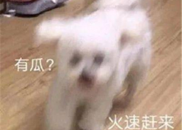 娱乐圈吃瓜微信聊天