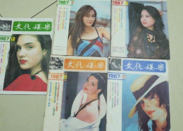 《文化娱乐》杂志,探寻多元文化，畅享娱乐盛宴