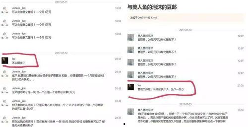 娱乐吃瓜酱人类编码,揭秘“吃瓜酱人类”背后的故事